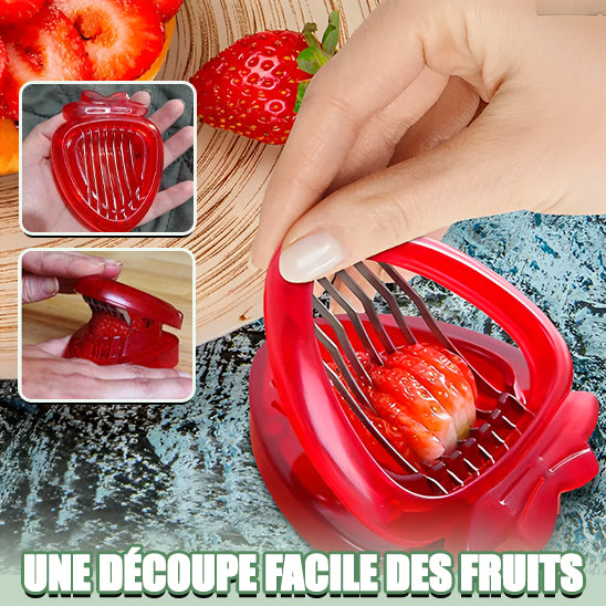 Trancheuses-a-Fraise-Frasy-D