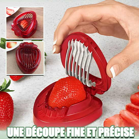 Trancheuses-a-Fraise-Frasy-G